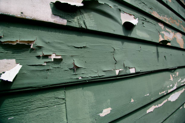 Best Dumpster Rental Services  in West Deland, FL