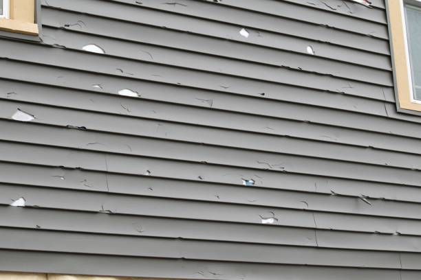 Best Property Management Cleanouts  in West Deland, FL